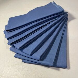 Blue Cloth Napkins Set